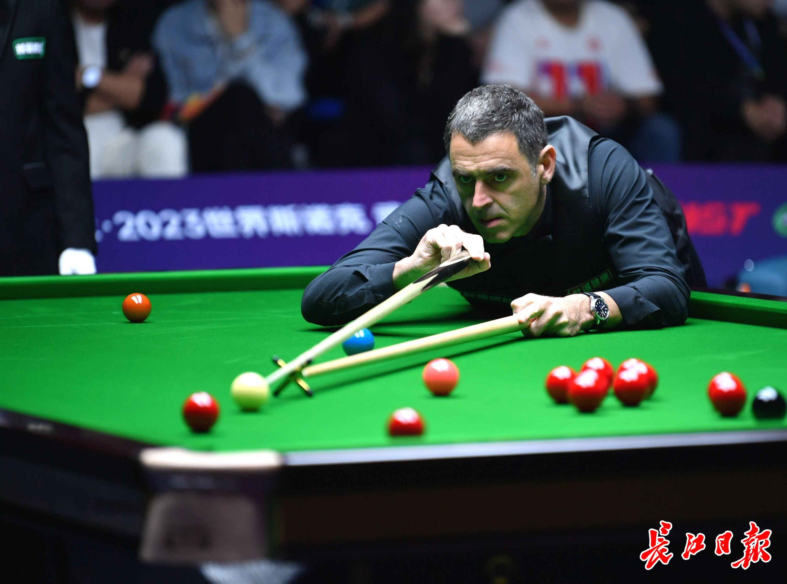 范尼可能会 范尼可能会